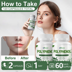 Icons showing quercetin resveratrol turmeric and more in inGreens polyphenols ingredients.