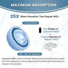 inGreens Liposomal NAD+ pour demonstrates quick mixing with water.