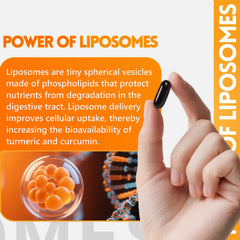 inGreens Organic turmeric root ingredients emphasize clean sourcing.