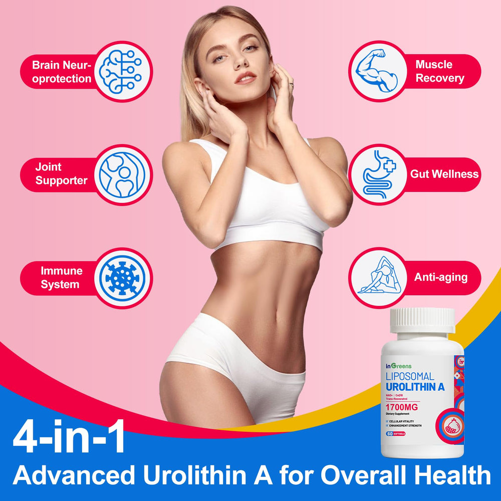 inGreens Urolithin A in a tidy kitchen drawer ready for daily ritual