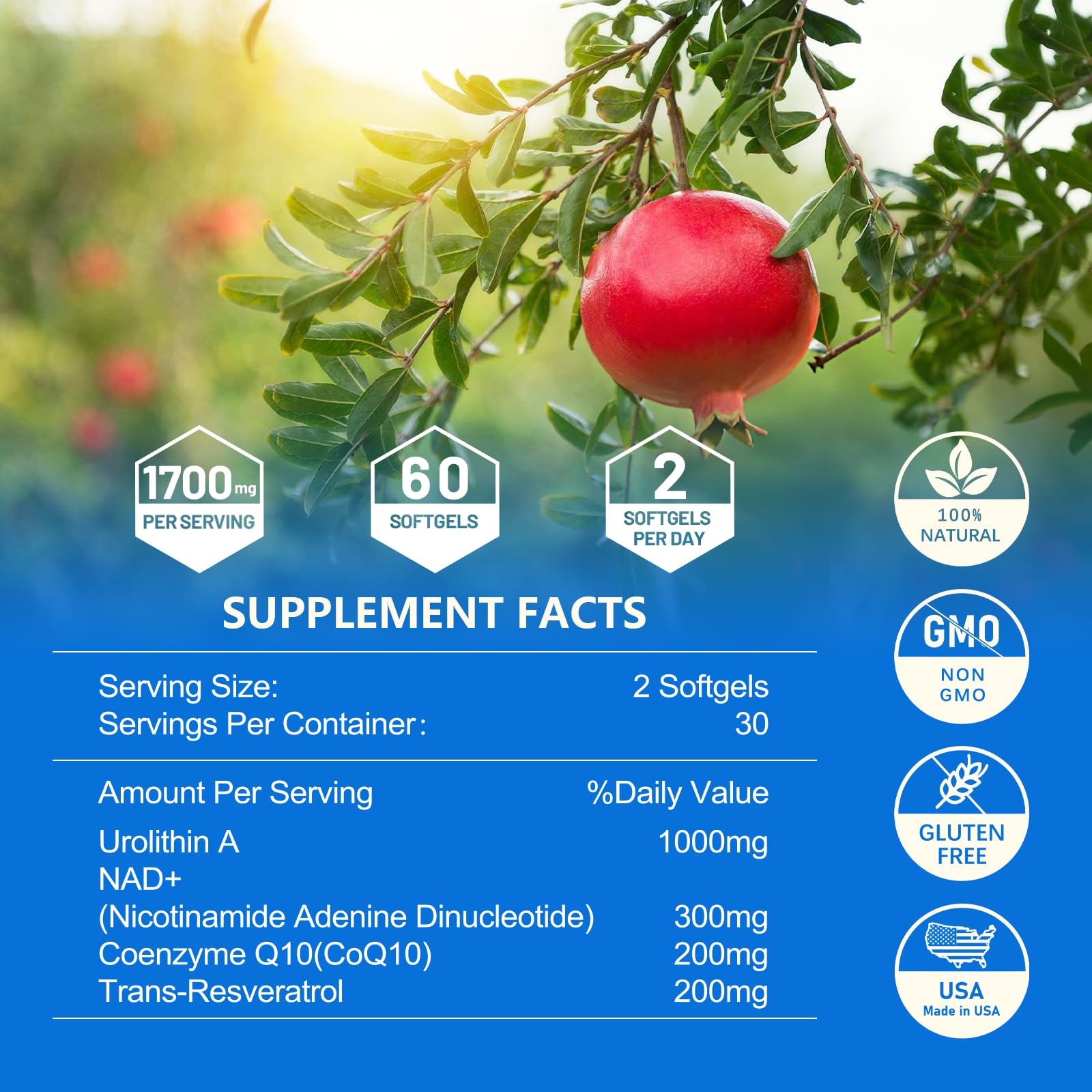 inGreens Urolithin A wellness collection alongside other health products