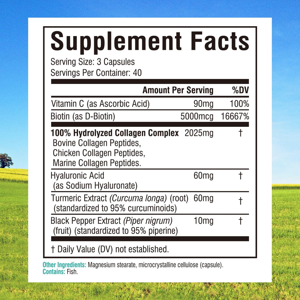Innate Vitality Multi Collagen capsules closeup showing quick absorption
