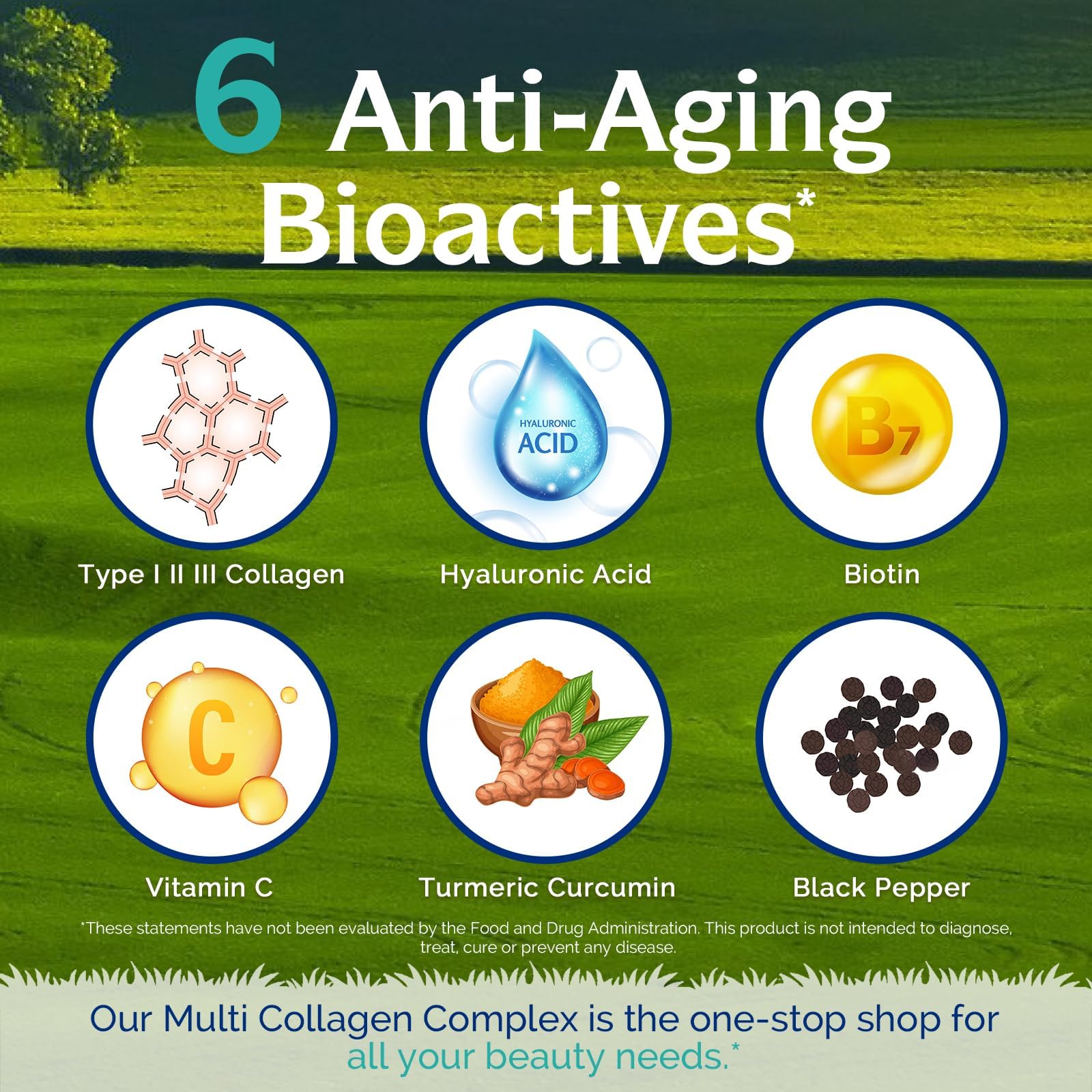 Innate Vitality Multi Collagen ingredients source, grass-fed bovine and wild-caught fish