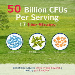 Innate Vitality prebiotics fiber boosts gut wellness.