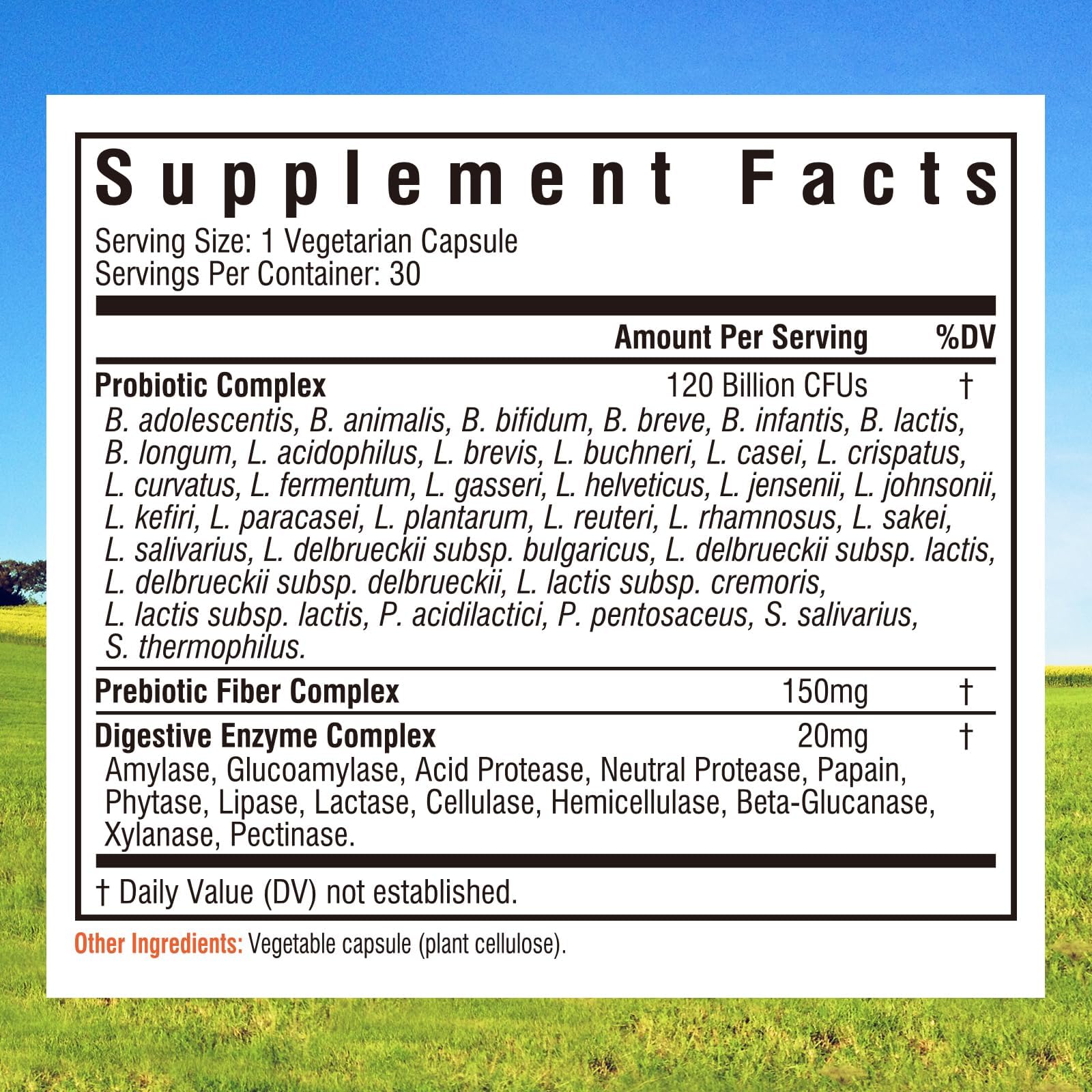 Innate Vitality delayed-release capsules close-up protecting stomach acid delivery