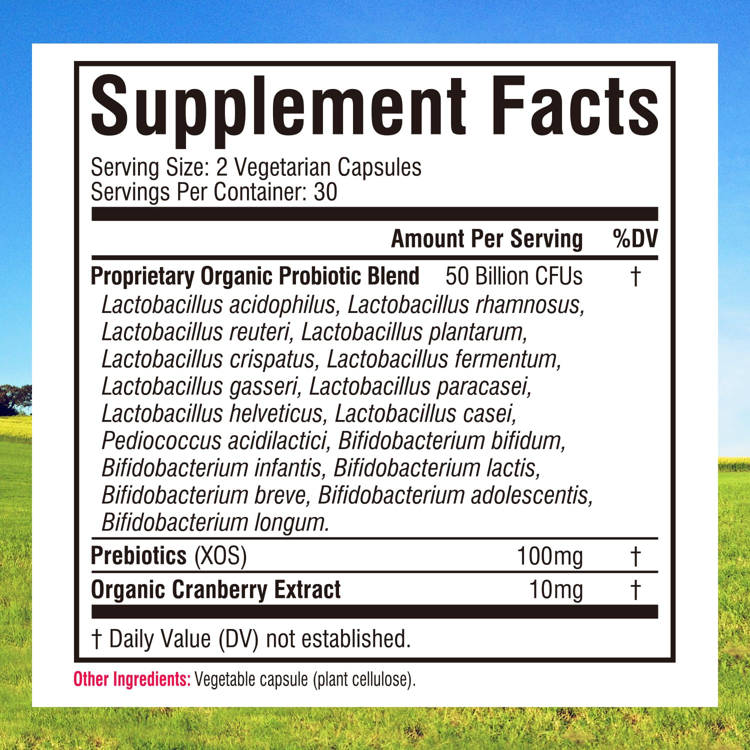 Innate Vitality Probiotics capsules ready for daily use.