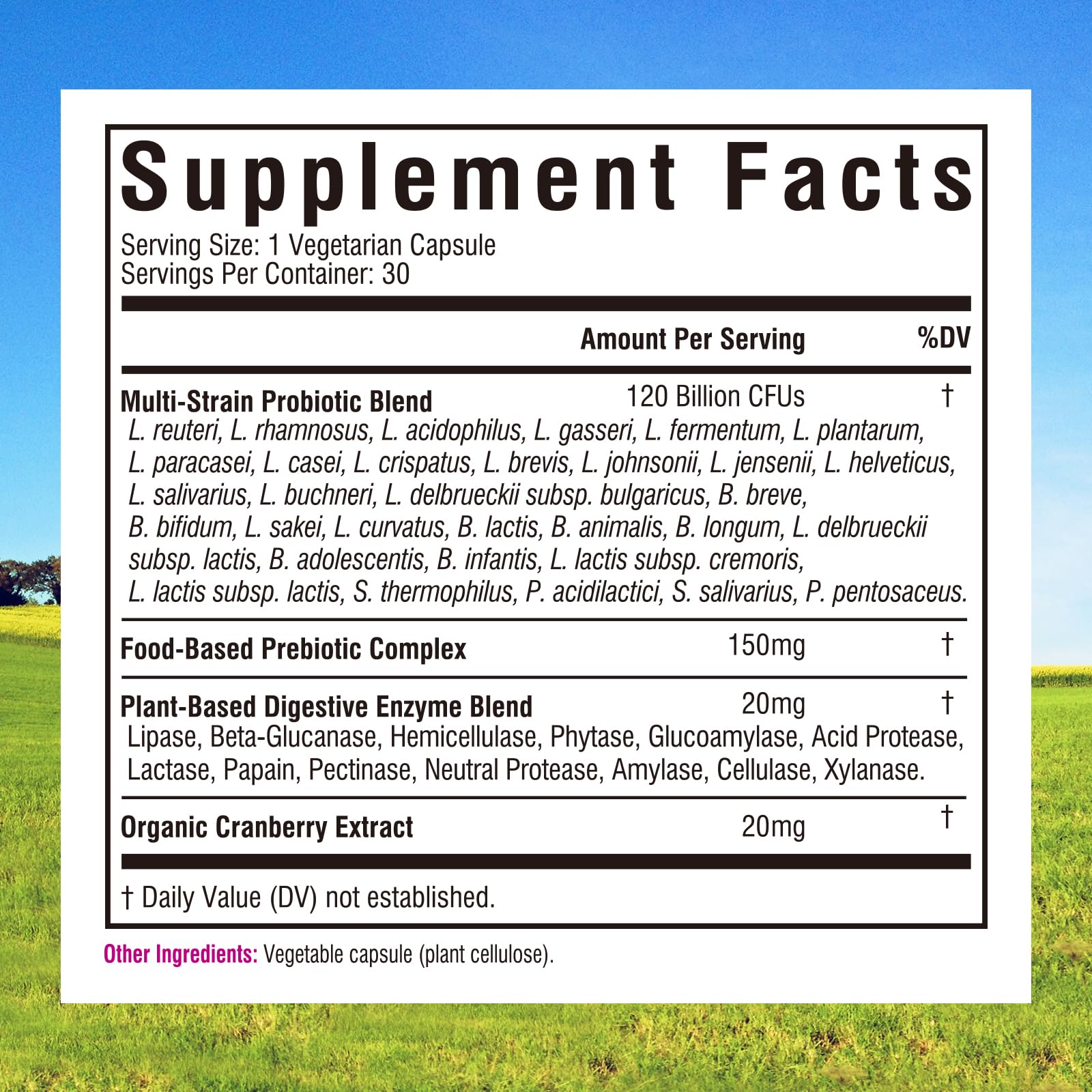 Innate Vitality Women’s Probiotics capsule close-up highlighting capsule details