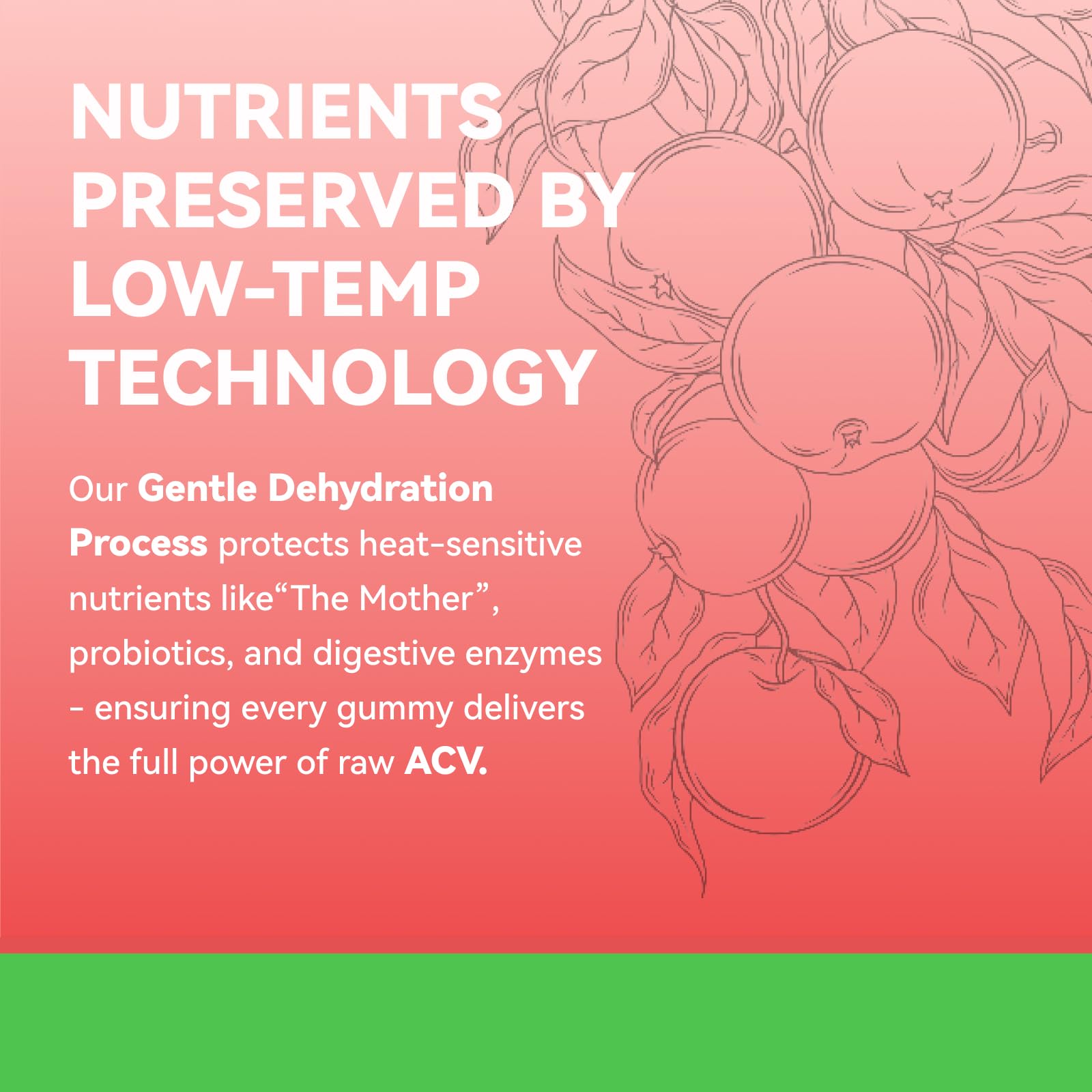 Inner Brightness ACV Gummies made in the USA in an FDA-registered facility.