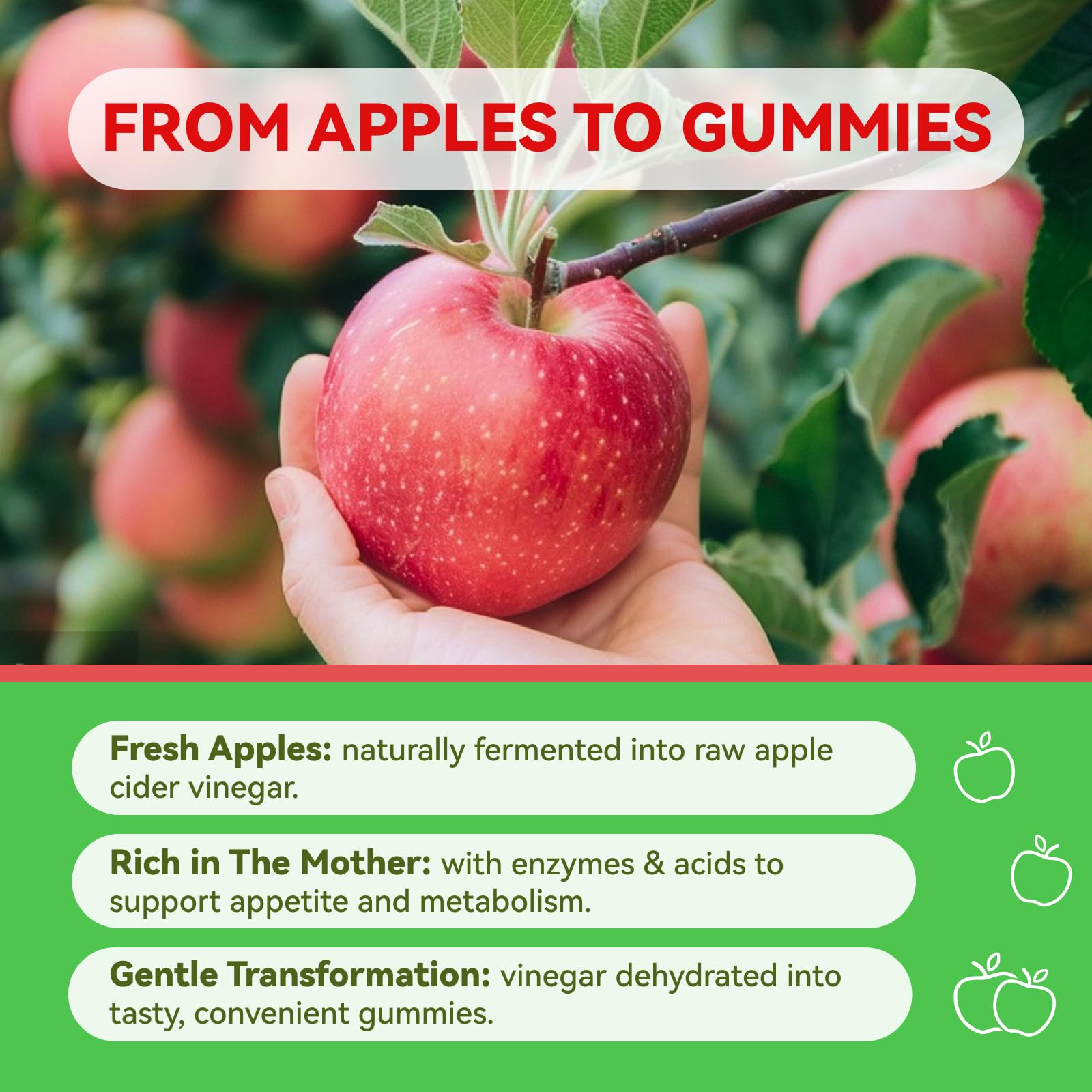 Inner Brightness ACV Gummies with pomegranate support digestive balance and freshness.