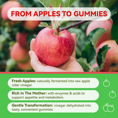 Inner Brightness ACV Gummies with pomegranate support digestive balance and freshness.