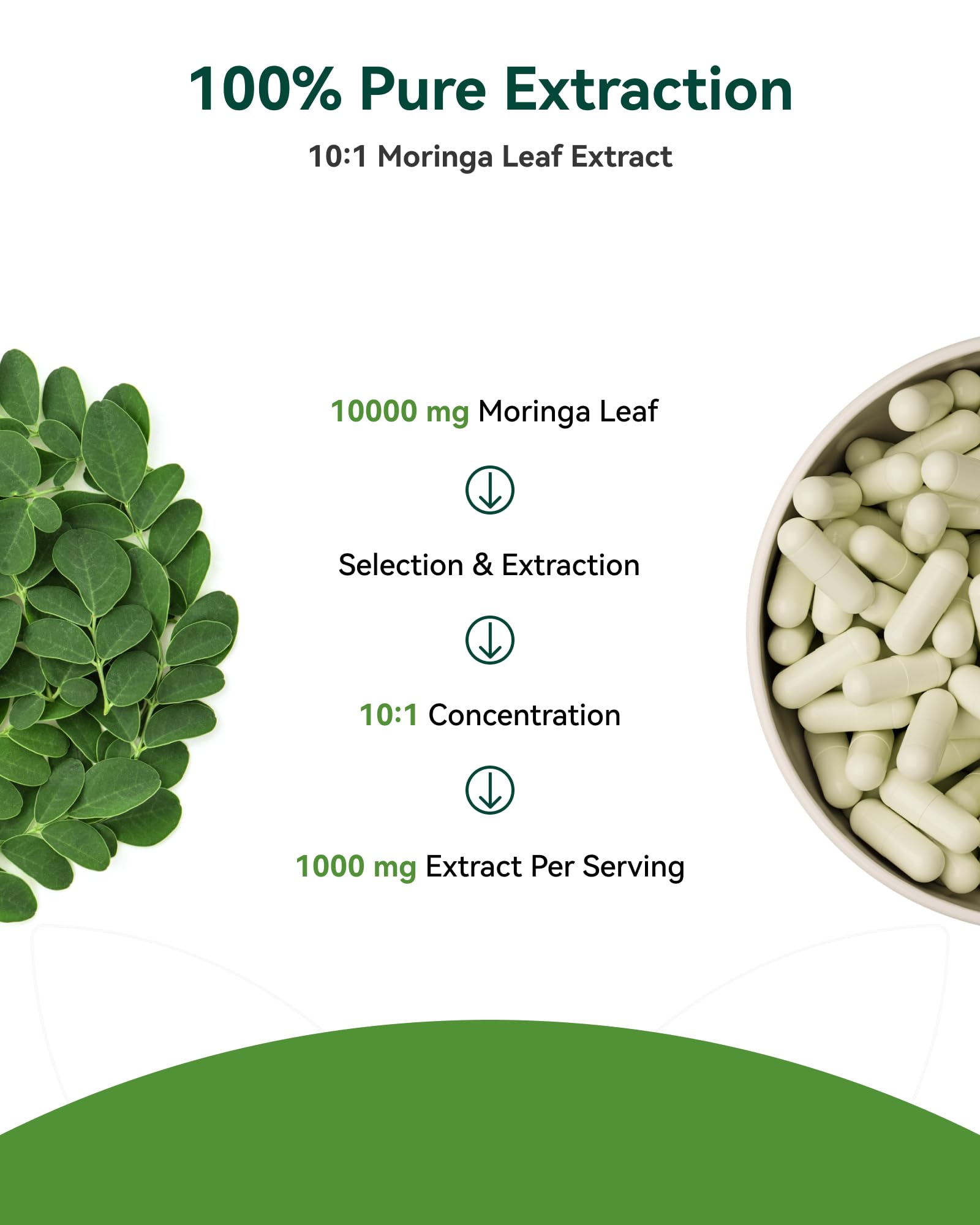 Non-GMO, gluten-free moringa capsules for clean supplement experience.