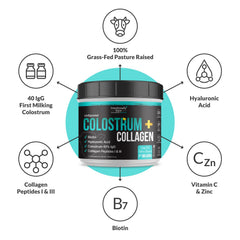 Intentionally Bare colostrum-collagen powder texture unflavored versatile for coffee or shakes
