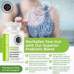 Intestinal Fortitude dairy-free capsules illustrate convenient daily digestive support