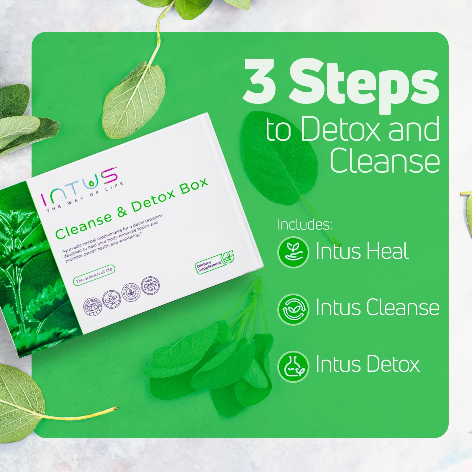 INTUS Detox Box herbal blend bottle, ready for daily digestive care.