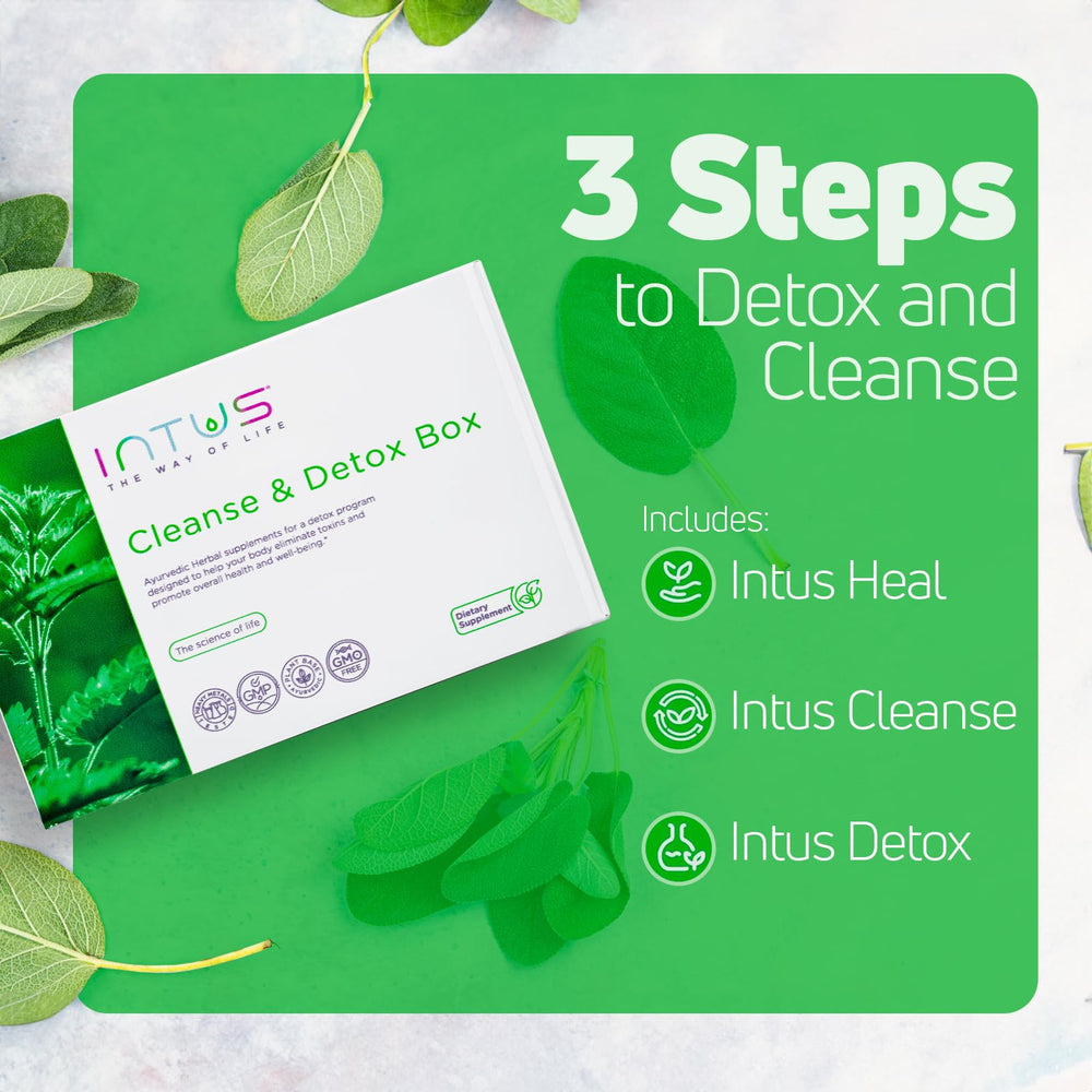 INTUS Detox Box herbal blend bottle, ready for daily digestive care.