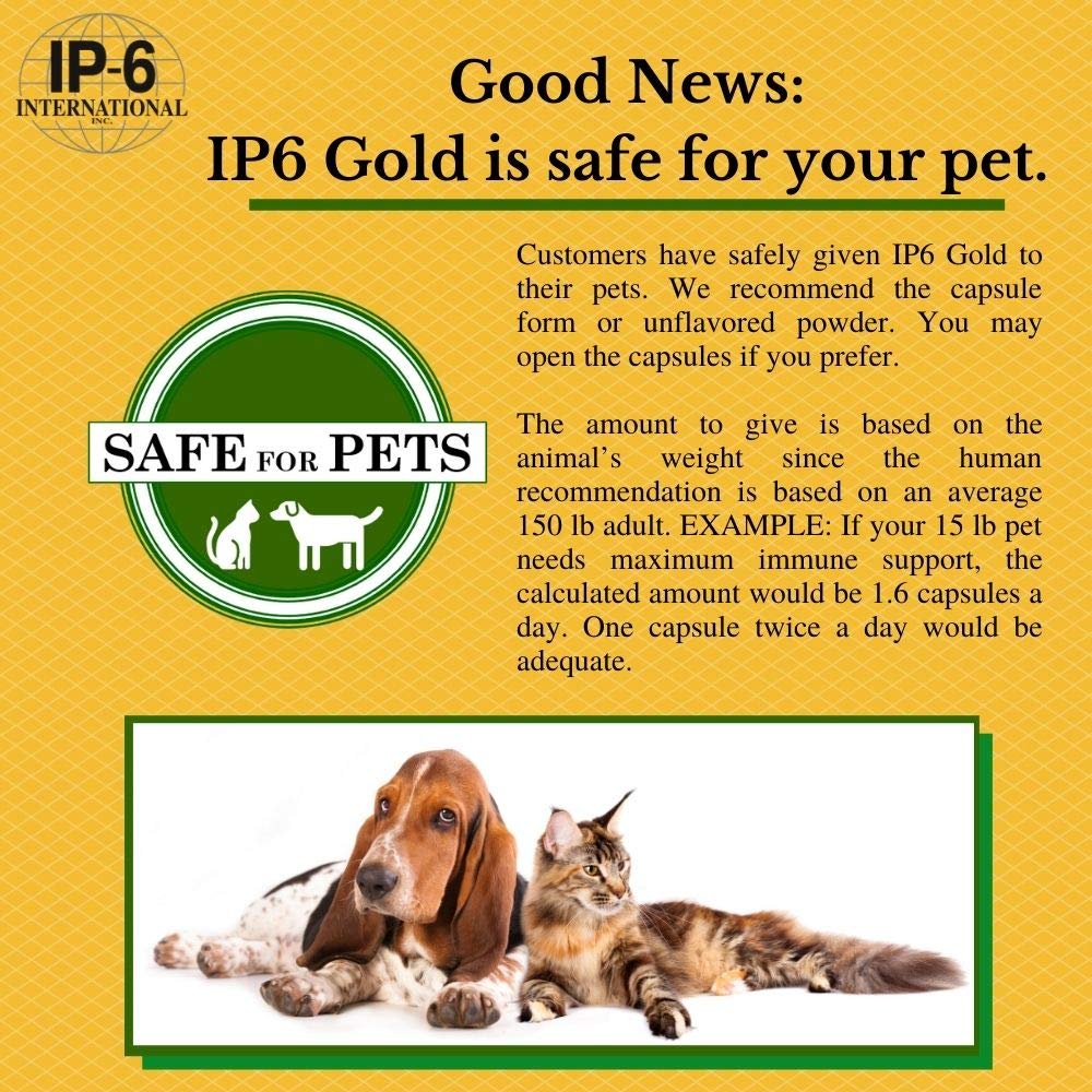 IP6 Gold Non-GMO verification seal reinforces trusted ingredient sourcing.