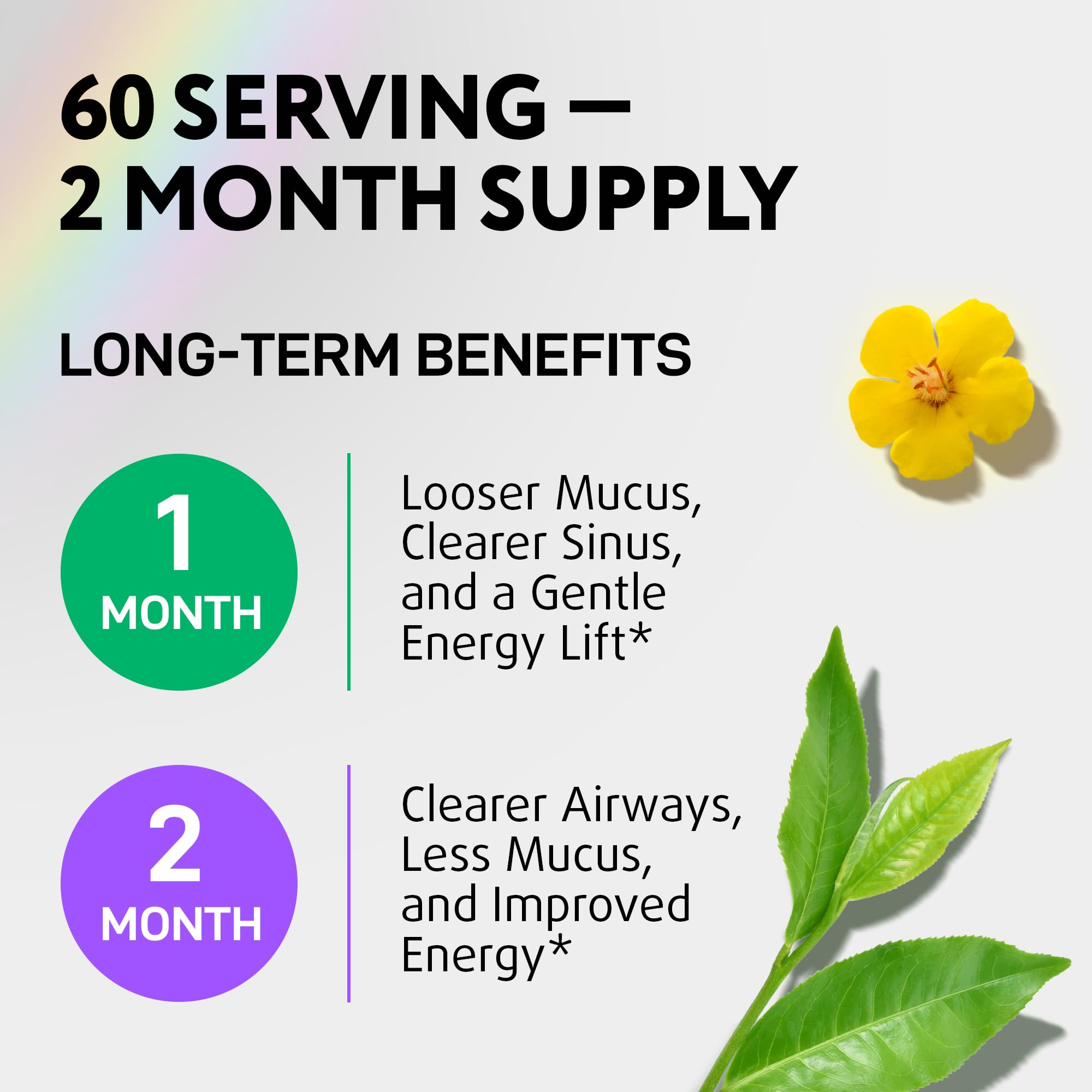 IQ Biology Mullein Drops ingredients chart image points to key botanicals for lungs.