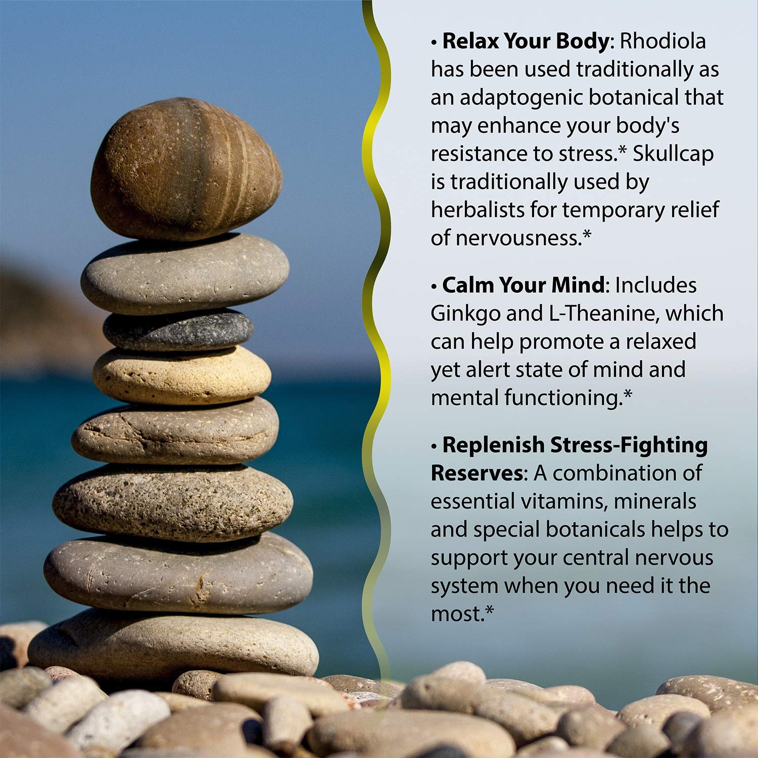 Irwin Naturals Stress-Defy label-closeup showcases comprehensive formula for resilience.