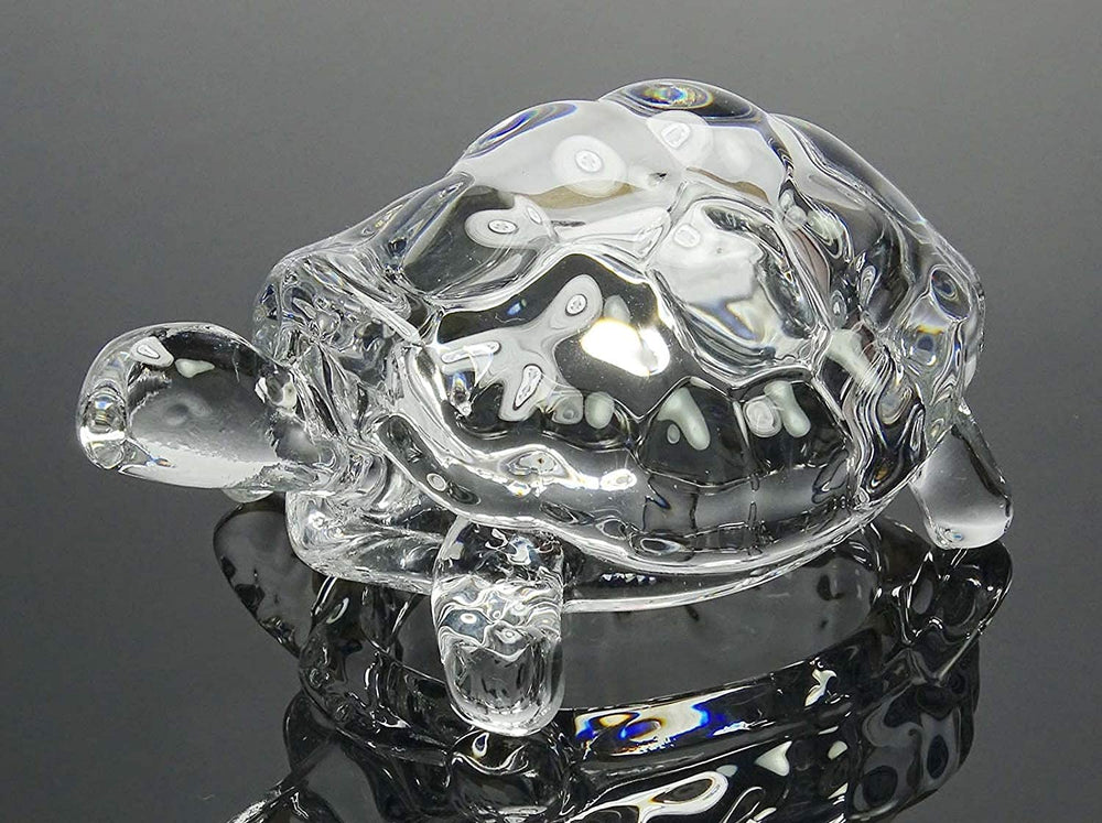 IS4A crystal turtle decorates shelves while inviting calm ambiance.