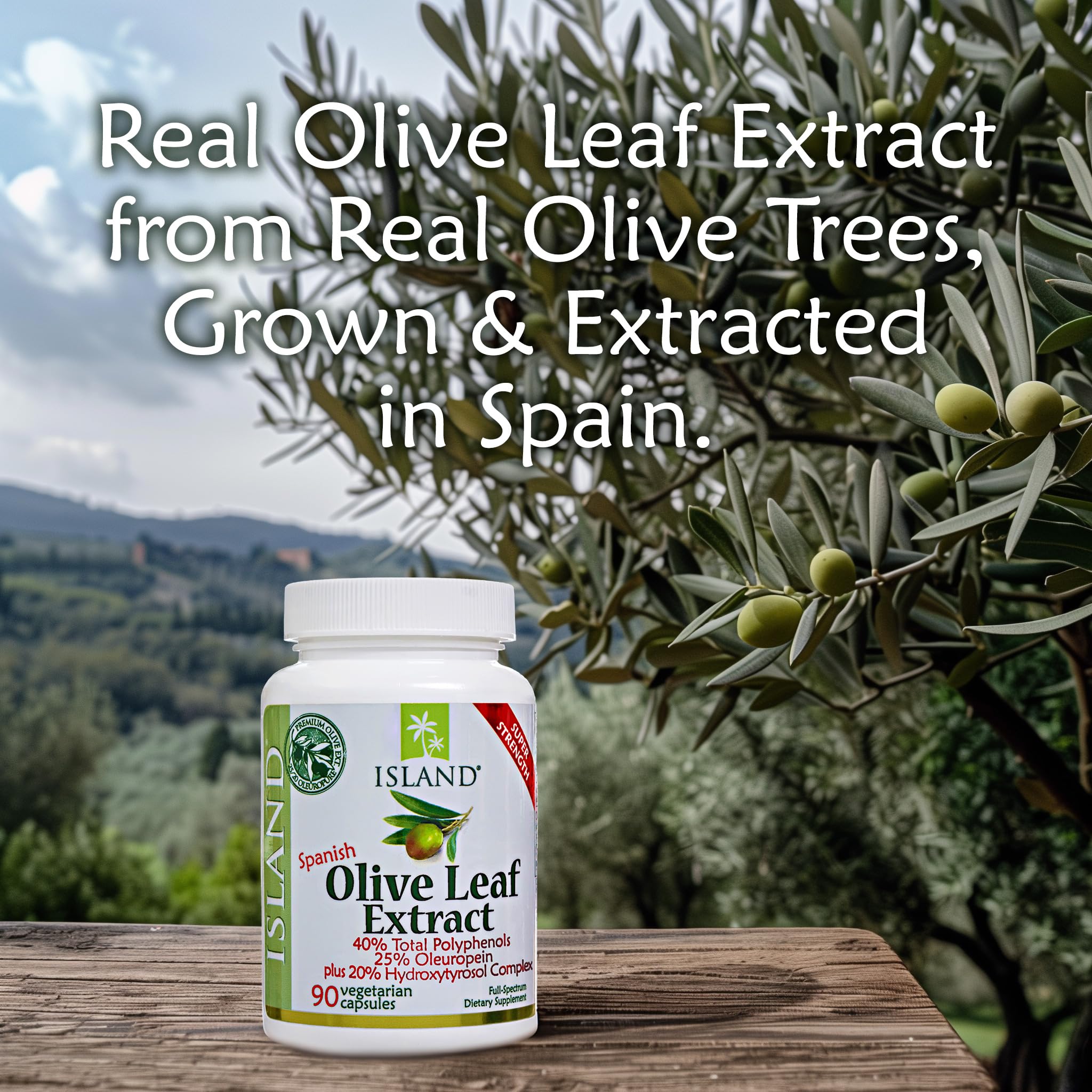 Island Nutrition Mediterranean olive tree close-up highlighting authentic origin