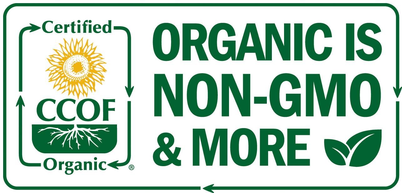 Island Nutrition organic oregano oil container reflects Mediterranean harvest notes.
