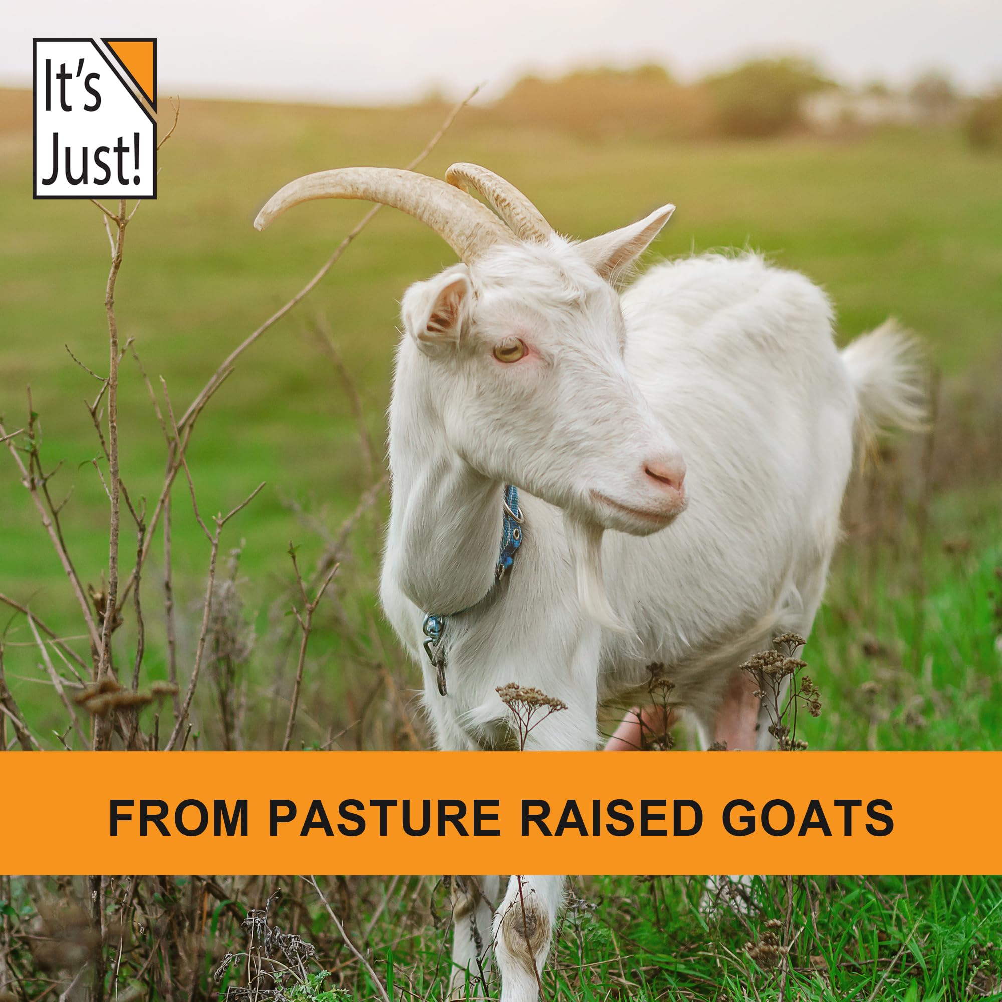 Its Just! Goat Whey Protein pouring into shaker, quick post-workout mix.