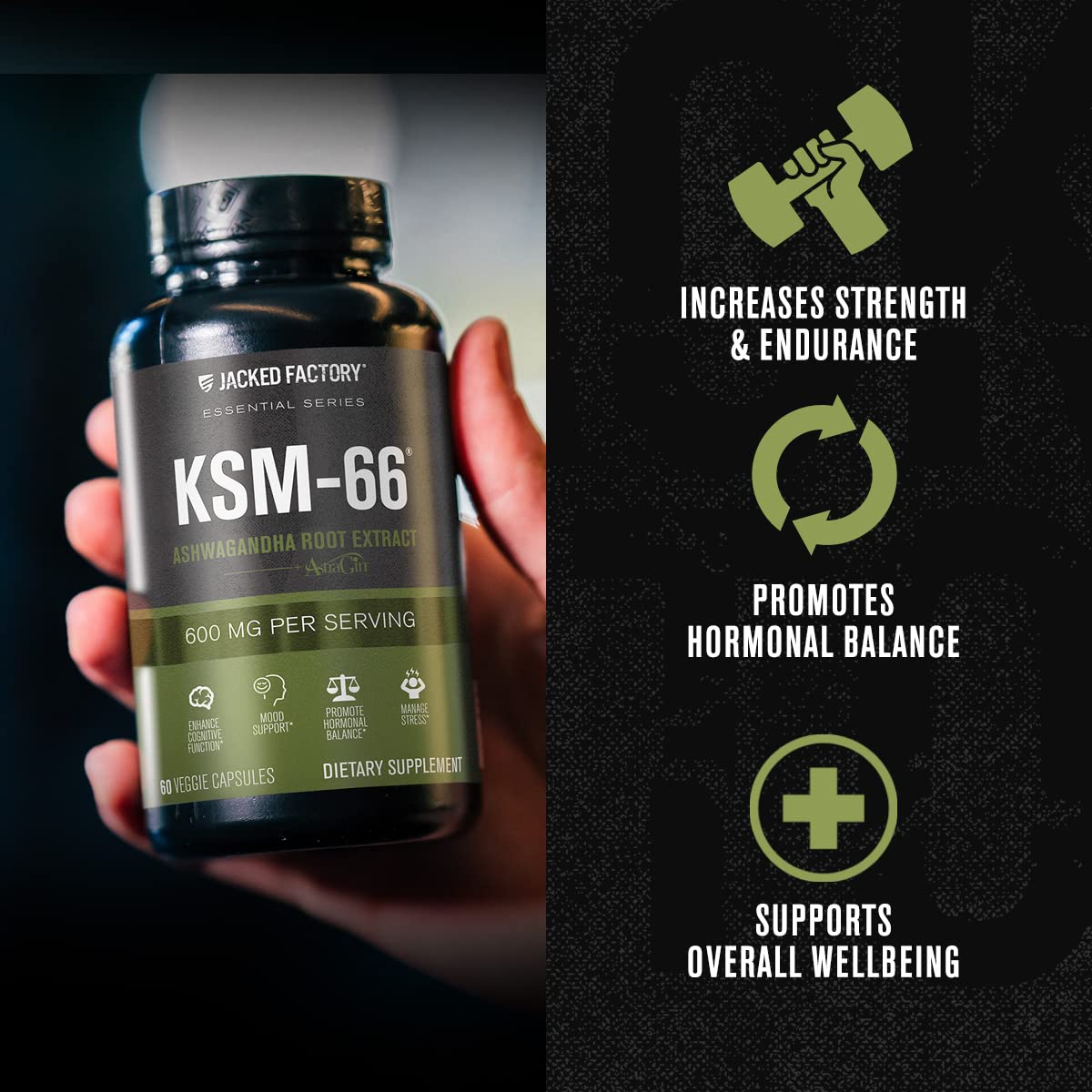 Jacked Factory Ashwagandha 5% withanolides badge indicating potency.