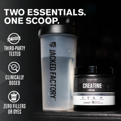 Jacked Factory Creatine + BCAAs blue raspberry tub showcases lean muscle support
