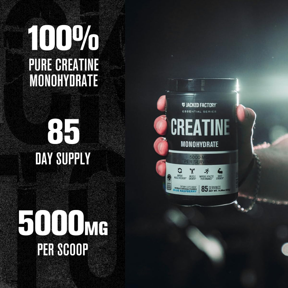 Jacked Factory scoop for precise daily 5g dose