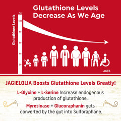 Jagielolia Glutathione precursor blend with L-serine and L-glycine shown.