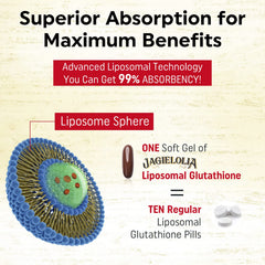 Jagielolia Liposomal delivery technology highlights better nutrient uptake.