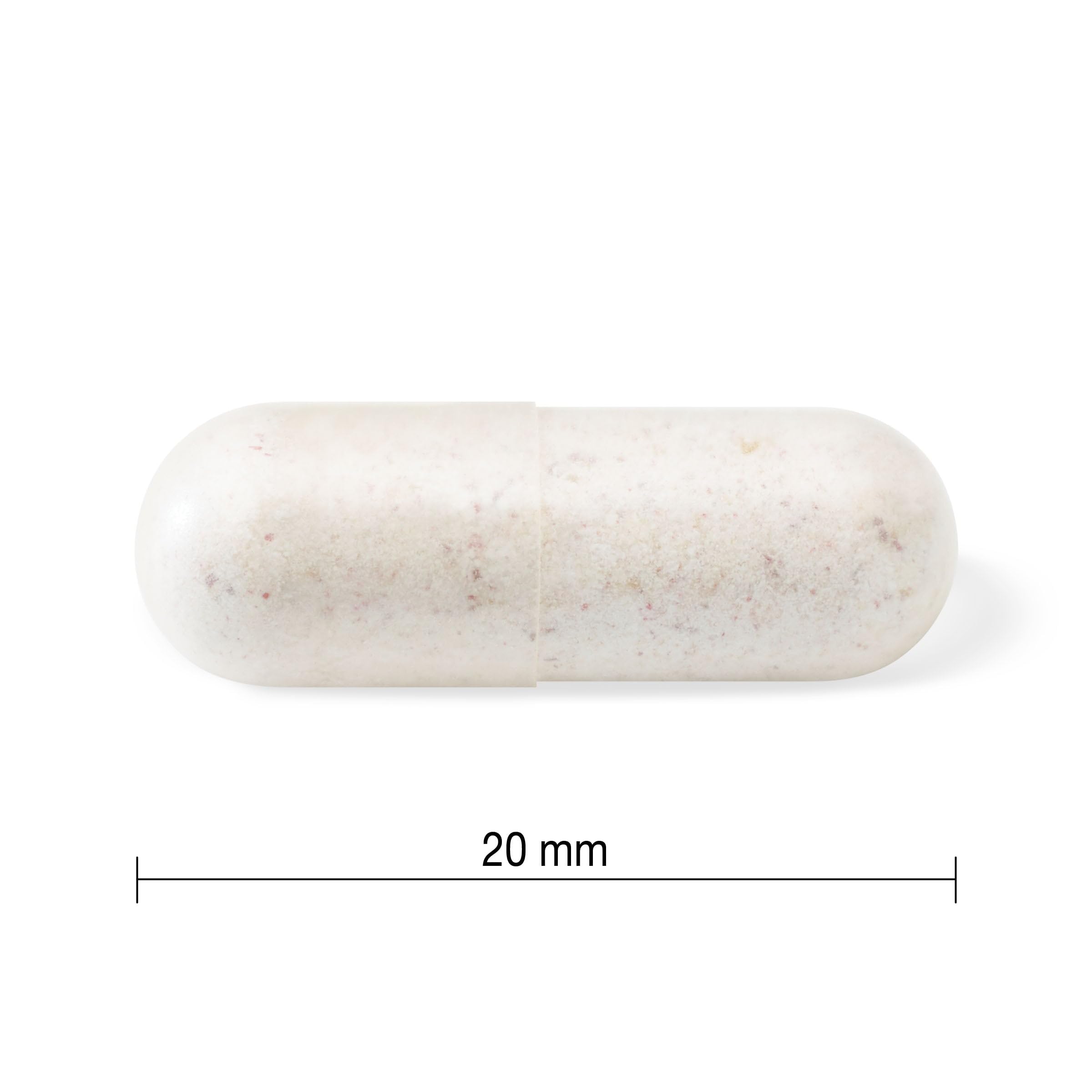 Jamieson bacterial support illustration showcases probiotic benefits for daily routines.