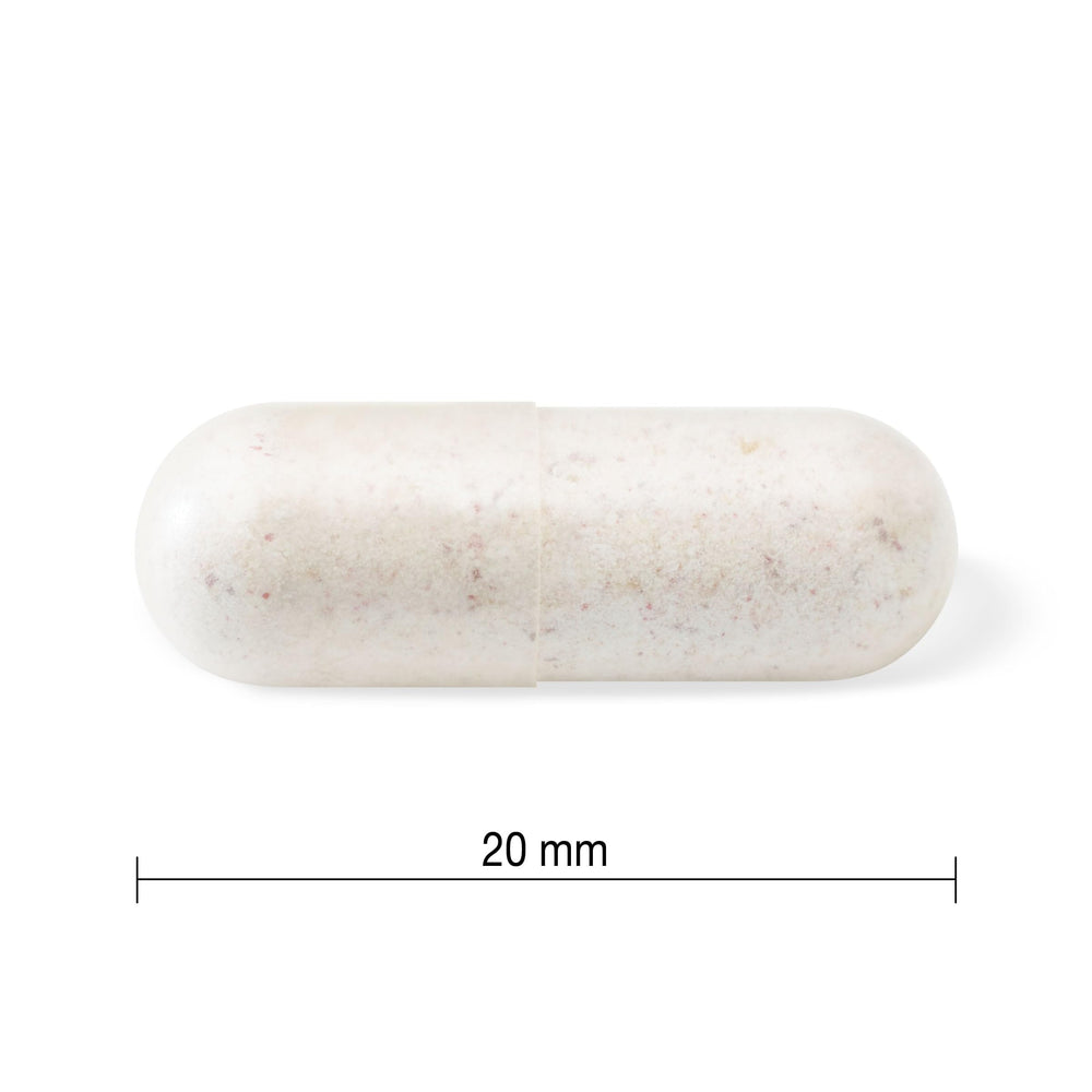 Jamieson bacterial support illustration showcases probiotic benefits for daily routines.
