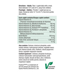 Jamieson Timed Release B100 packaging on shelf conveys no artificial flavors or preservatives.