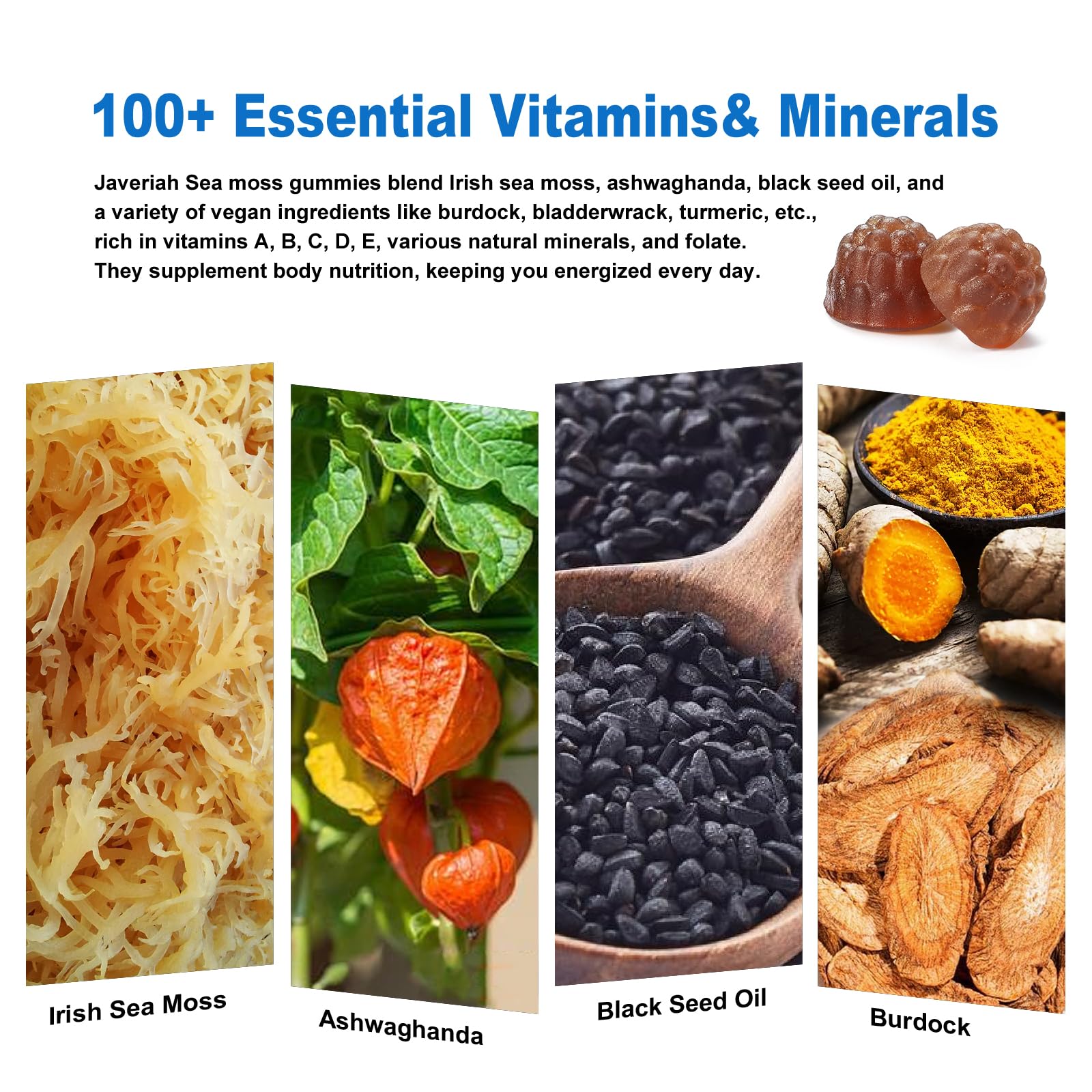 Illustration of Irish sea moss and antioxidants in Javeriah formula