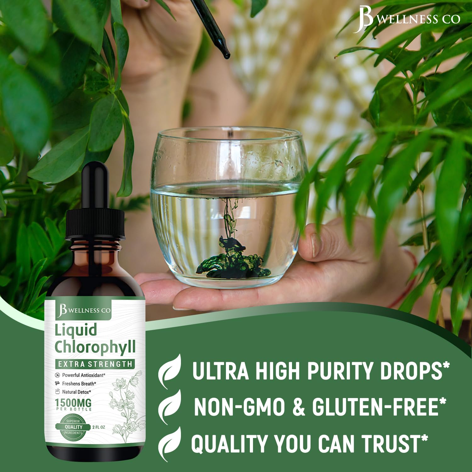 JB Wellness Co digestion-friendly formula supports gentle stomach comfort.