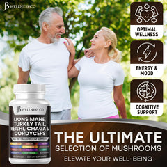 JB Wellness Co turkey tail extract capsules supporting wellness routines.