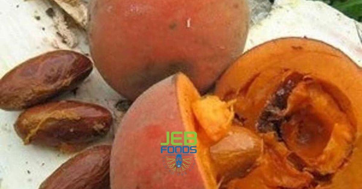 JEB FOODS Bitter Kola nuts on shelf, premium West African harvest.