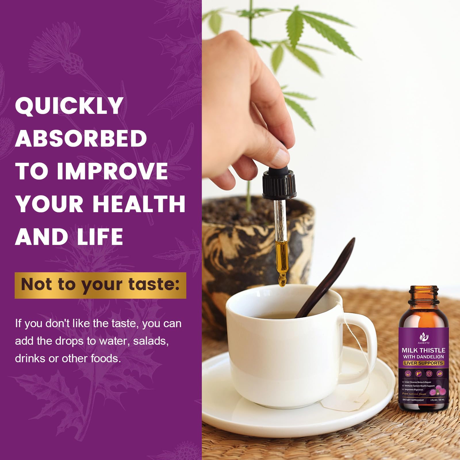 JIANKYTZ Dandelion Root close-up emphasizes antioxidant-rich blend.
