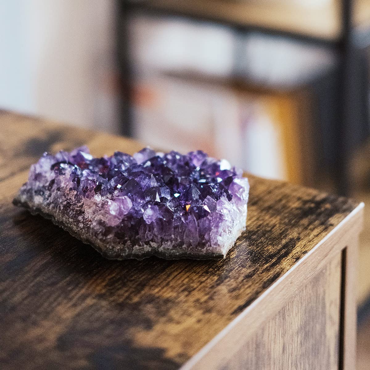JIC Gem amethyst cluster group shot showcases size variety and richness