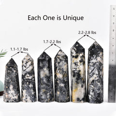 JIC Gem close-up of black tourmaline with white quartz contrast and unique formation