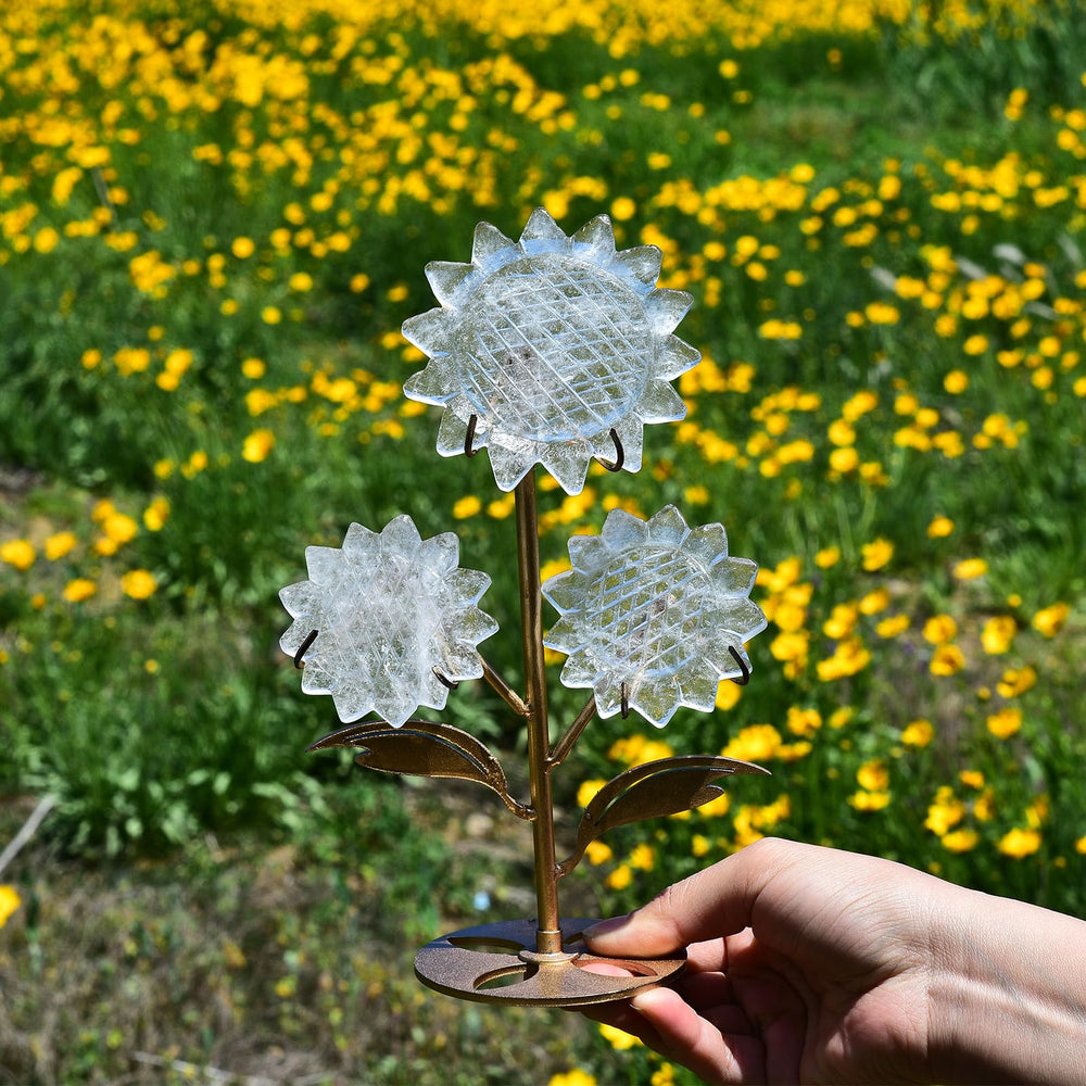 JIC Gem Clear Quartz Sunflower petal closeup showing natural sparkle for home display.