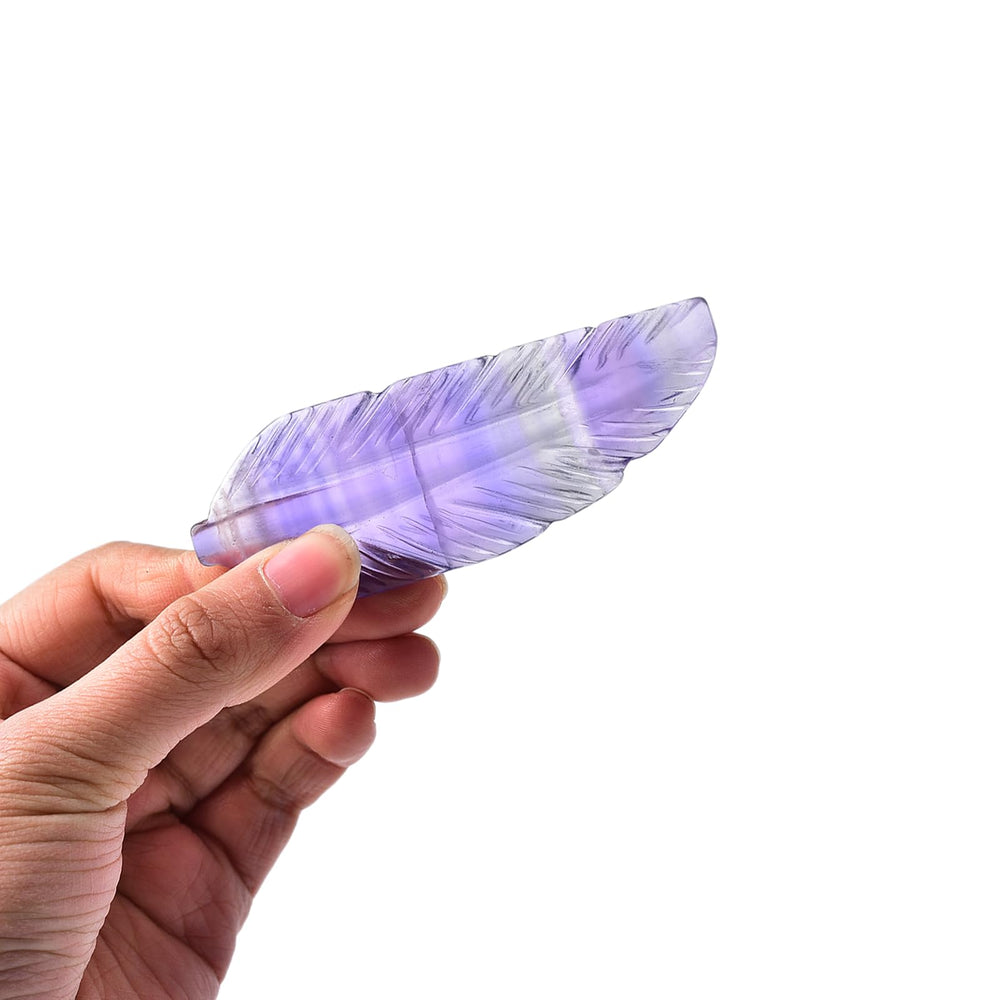 JIC Gem fluorite feather crystal on shelf adds color and elegance