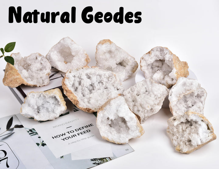 JIC Gem geode natural formation preserves nature's artistry