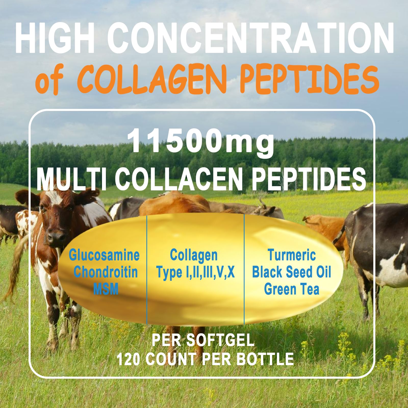 JINGYAT Collagen Softgels antioxidant blend highlighting skin protection