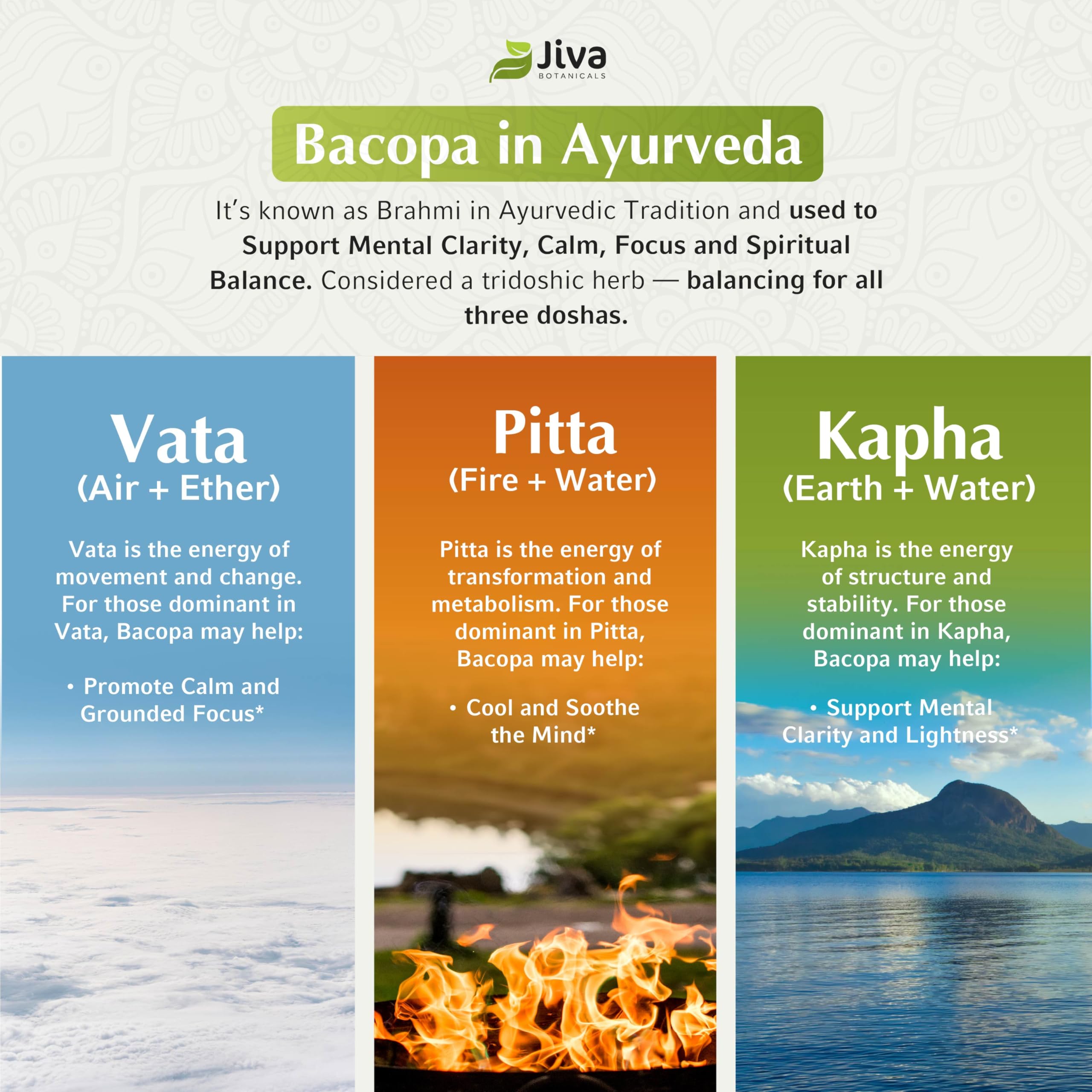 Jiva Botanicals Bacopa ingredients list reveals organic and extract components.