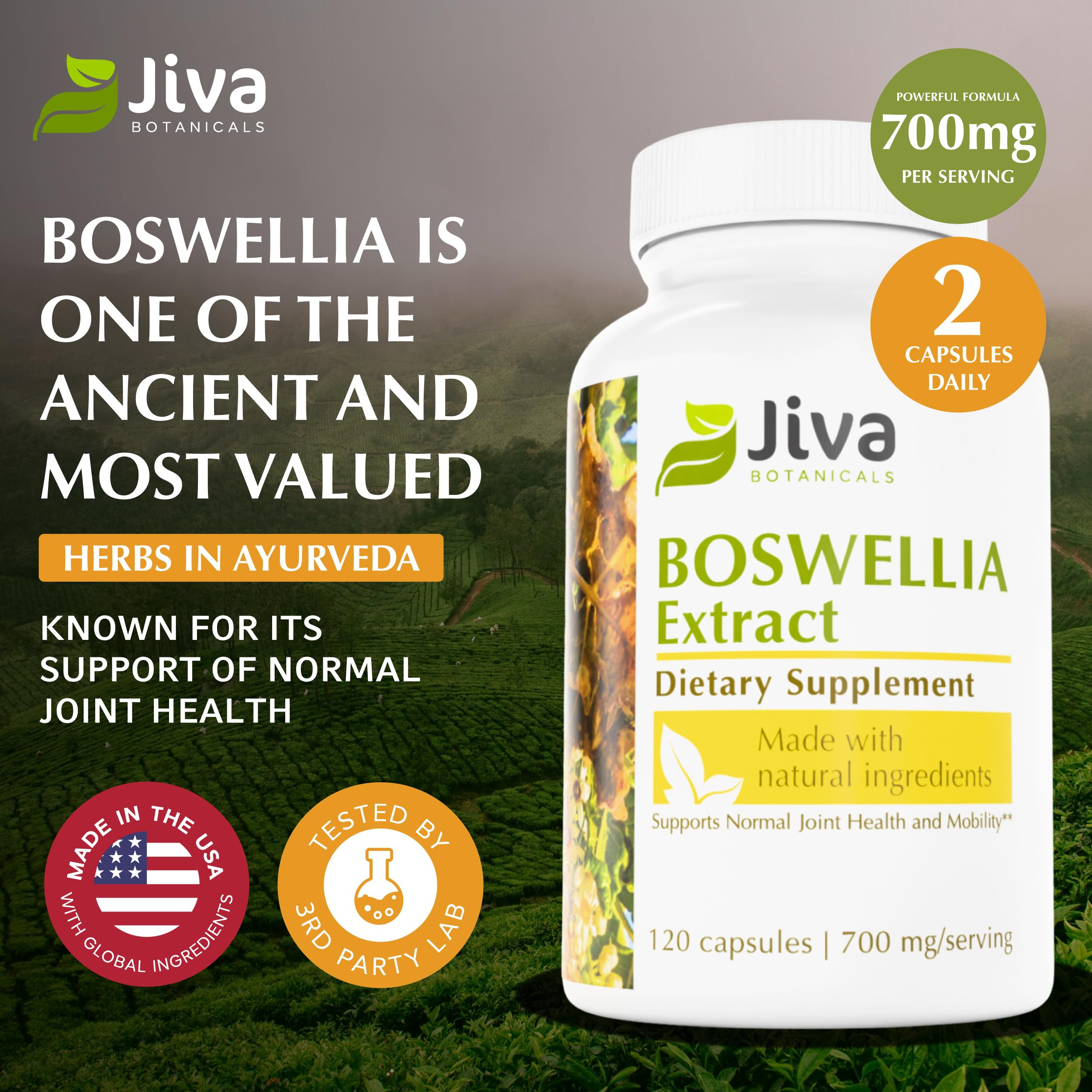 Label indicates 65% boswellic acid standardization for consistent potency