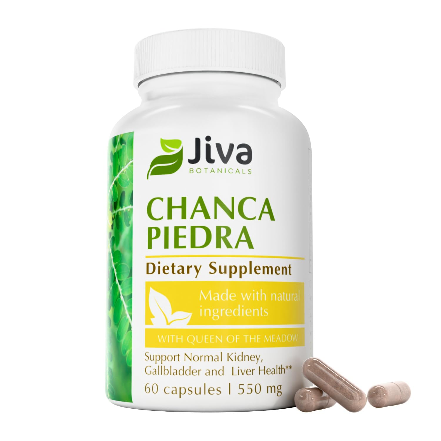 Jiva Botanicals Chanca Piedra bottle front for daily wellness support