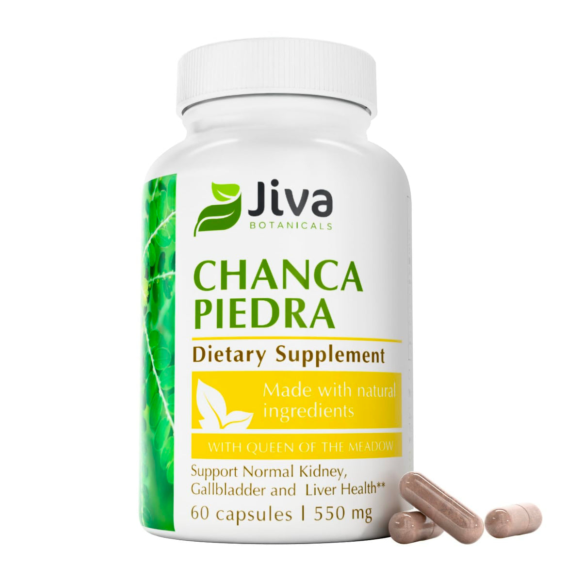 Jiva Botanicals Chanca Piedra bottle front for daily wellness support