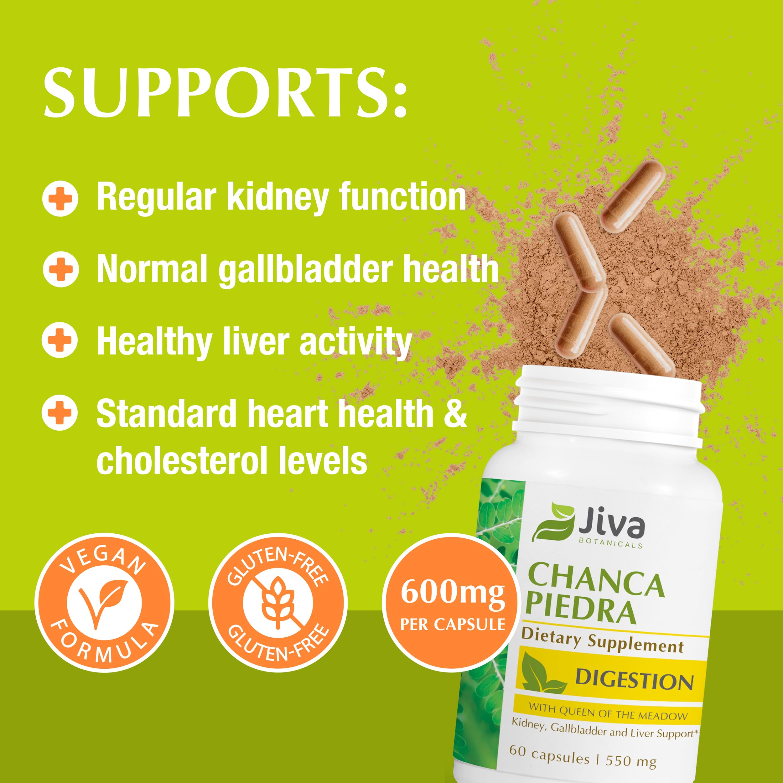 Jiva Botanicals Chanca Piedra capsules close-up highlighting daily dose